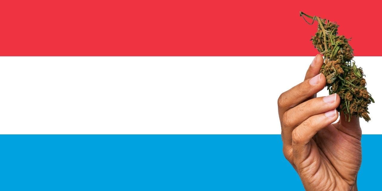 Luxembourg flag with a hand holding a marijuana infront of it