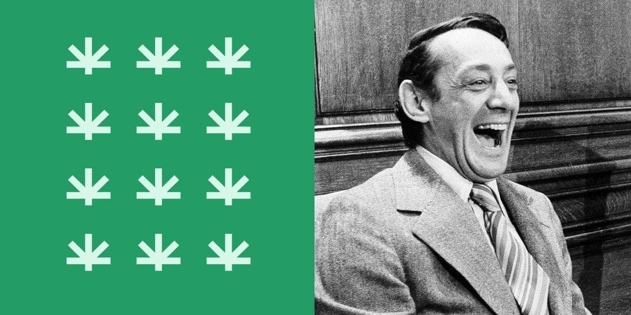 a photo of laughing Harvey Milk